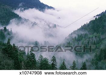 Stock Photo - morton overlook, 
great smoky mountains 
national park, 
tennessee, usa. 
fotosearch - search 
stock photos, 
pictures, images, 
and photo clipart
