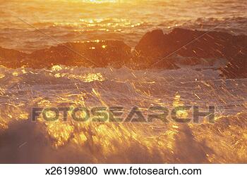 Stock Photography - mimosa rocks national 
park, new south 
wales, australia. 
fotosearch - search 
stock photos, 
pictures, images, 
and photo clipart