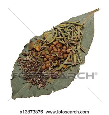 Did you know that you can keep fresh herbs? assorted dried herbs ~x13873876 Did you know that you can keep fresh herbs?