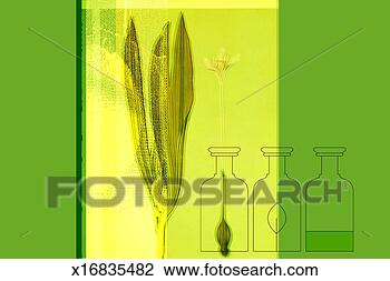 Clip Art - herbalist. fotosearch 
- search clipart, 
illustration, 
drawings and vector 
eps graphics images