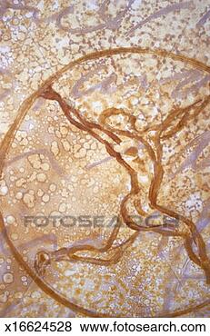 Stock Illustration - dancing figure 
in hoop. fotosearch 
- search clipart, 
illustration, 
drawings and vector 
eps graphics images