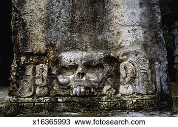 Stock Photo - palenque. fotosearch 
- search stock 
photos, pictures, 
images, and photo 
clipart
