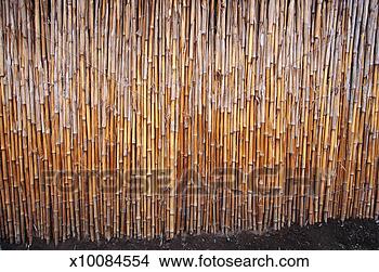 Stock Photo - san antonio - 
bamboo. fotosearch 
- search stock 
photos, pictures, 
images, and photo 
clipart