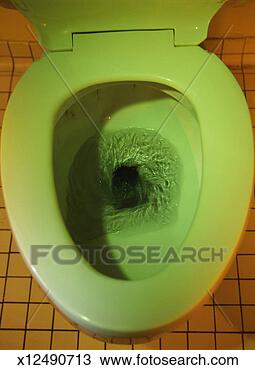 toiletpoopfarts