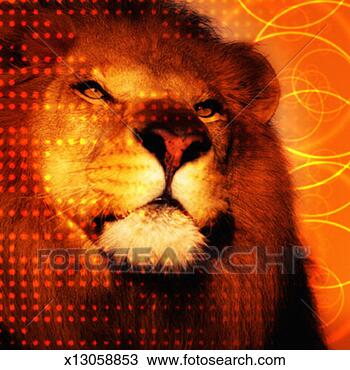 Drawing - lion. fotosearch 
- search clipart, 
illustration, 
drawings and vector 
eps graphics images