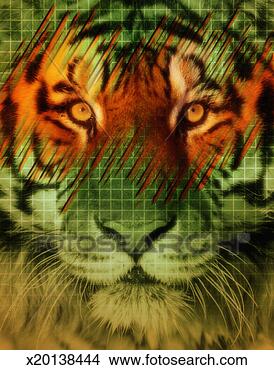Stock Illustration - tiger. fotosearch 
- search clipart, 
illustration, 
drawings and vector 
eps graphics images