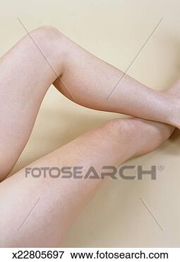 Picture - woman`s legs. 
fotosearch - search 
stock photos, 
pictures, images, 
and photo clipart