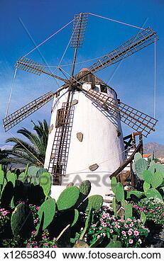 Stock Photography - europe, building, 
daylight, canary 
islands, cactus, 
agriculture. fotosearch 
- search stock 
photos, pictures, 
images, and photo 
clipart
