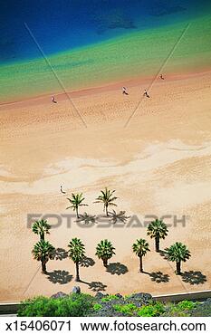 Stock Photography - outdoors, beach, 
full frame, distant, 
daylight, palm 
tree, aerial. 
fotosearch - search 
stock photos, 
pictures, images, 
and photo clipart