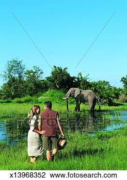 Stock Photo - couple watching 
an elephant in 
wetlands, botswana, 
africa. fotosearch 
- search stock 
photos, pictures, 
images, and photo 
clipart