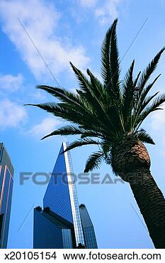 Stock Photo - stock exchange, 
downtown mexico 
city, mexico. 
fotosearch - search 
stock photos, 
pictures, images, 
and photo clipart