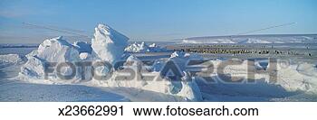 Stock Photography - distant emperor 
penguins on dawson 
lambton glacier 
in antarctica. 
fotosearch - search 
stock photos, 
pictures, images, 
and photo clipart