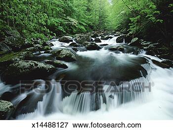 Picture - middle prong river, 
 great smoky mountains 
national park, 
 tennessee. fotosearch 
- search stock 
photos, pictures, 
images, and photo 
clipart