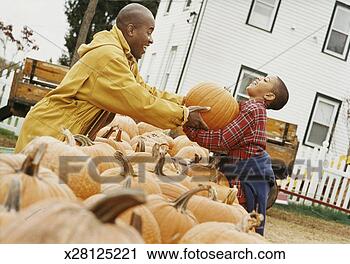 Stock Photography - father and son 
choosing pumpkins, 
father giving 
son a pumpkin. 
fotosearch - search 
stock photos, 
pictures, images, 
and photo clipart