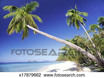 Stock Photo - palawan, philippines. 
fotosearch - search 
stock photos, 
pictures, images, 
and photo clipart