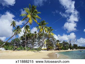 Stock Image - mullins beach, 
st peter parish, 
barbados, caribbean. 
fotosearch - search 
stock photos, 
pictures, images, 
and photo clipart