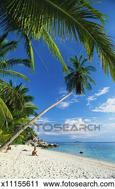 Stock Photography - three people sunbathing 
on the beach of 
terengganu,  perhentian. 
fotosearch - search 
stock photos, 
pictures, images, 
and photo clipart