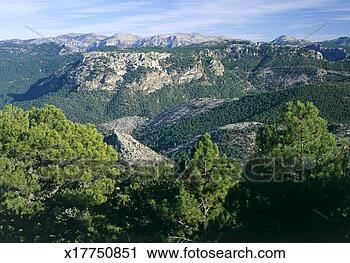 Stock Photography - cazorla national 
park, jaen, andalucia, 
spain. fotosearch 
- search stock 
photos, pictures, 
images, and photo 
clipart