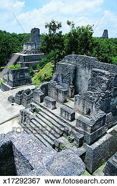Picture - elevated view 
of the central 
acropolis, tikal, 
guatemala. fotosearch 
- search stock 
photos, pictures, 
images, and photo 
clipart