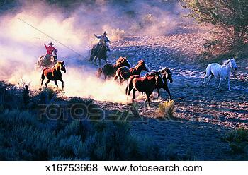 Stock Photo - two cowboys chasing 
wild horses through 
the desert on 
horseback. fotosearch 
- search stock 
photos, pictures, 
images, and photo 
clipart