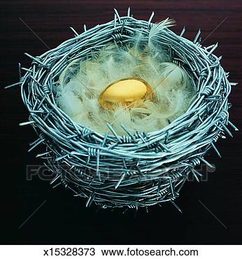 Stock Photo - golden egg in 
a birds nest made 
of barbed wire. 
fotosearch - search 
stock photos, 
pictures, images, 
and photo clipart