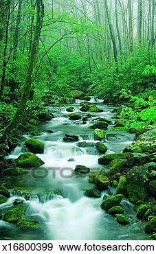 Stock Photograph - roaring fork river, 
 great smoky mountains 
national park, 
 tennessee. fotosearch 
- search stock 
photos, pictures, 
images, and photo 
clipart