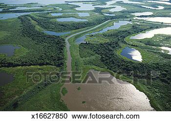 Stock Photography - brazil, pantanal, 
floodlands, aerial 
view. fotosearch 
- search stock 
photos, pictures, 
images, and photo 
clipart