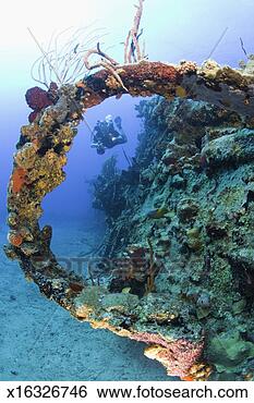Stock Photo - coral encrusted 
wreck, scuba diver, 
underwater view. 
fotosearch - search 
stock photos, 
pictures, images, 
and photo clipart