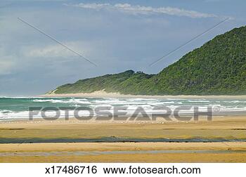 Stock Photo - 'indian ocean 
seascape and sandy 
beach at greater 
st lucia wetland. 
fotosearch - search 
stock photos, 
pictures, images, 
and photo clipart