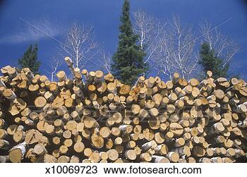 Stock Photo - recently cut logs 
awaiting processing 
at a wisconsin 
mill. fotosearch 
- search stock 
photos, pictures, 
images, and photo 
clipart