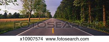 Stock Photo - this is a tree 
lined road at 
sunset it is located 
on the eastern. 
fotosearch - search 
stock photos, 
pictures, images, 
and photo clipart