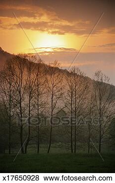 Stock Photo - usa, tennessee, 
great smoky mountains 
national park, 
cades cove, dawn. 
fotosearch - search 
stock photos, 
pictures, images, 
and photo clipart