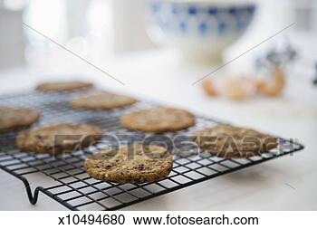 Stock Photography - cookies on baking 
sheet, close-up, 
differential focus. 
fotosearch - search 
stock photos, 
pictures, images, 
and photo clipart