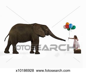 Stock Photo - girl (8-9) giving 
balloons to elephant 
(digital composite). 
fotosearch - search 
stock photos, 
pictures, images, 
and photo clipart