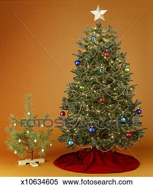 Stock Image - large and small 
decorated christmas 
trees. fotosearch 
- search stock 
photos, pictures, 
images, and photo 
clipart