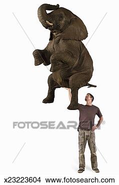 Stock Photo - man holding elephant 
(digital composite). 
fotosearch - search 
stock photos, 
pictures, images, 
and photo clipart