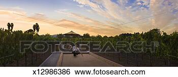 Stock Photo - man playing bocce 
ball in vineyard. 
fotosearch - search 
stock photos, 
pictures, images, 
and photo clipart