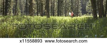 Stock Photo - mid adult woman 
standing in forest 
reading map. fotosearch 
- search stock 
photos, pictures, 
images, and photo 
clipart