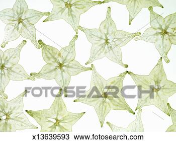 Stock Photo - star fruit on 
white background. 
fotosearch - search 
stock photos, 
pictures, images, 
and photo clipart