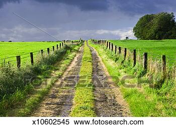 Stock Image - country road in 
fields, overcast. 
fotosearch - search 
stock photos, 
pictures, images, 
and photo clipart