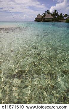 Stock Photography - landscape photograph 
of a beautifull 
reef at a resort 
on a tropical. 
fotosearch - search 
stock photos, 
pictures, images, 
and photo clipart
