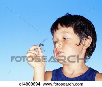 Stock Photo - boy (4-6) holding 
flying insect 
outdoors, close-up. 
fotosearch - search 
stock photos, 
pictures, images, 
and photo clipart