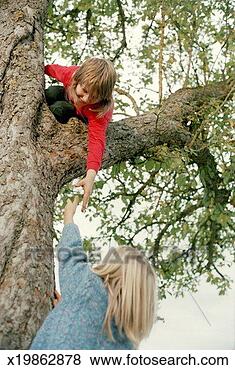 Stock Photo - boy (9-11) in 
tree, reaching 
for hand of boy 
(6-8) below him. 
fotosearch - search 
stock photos, 
pictures, images, 
and photo clipart