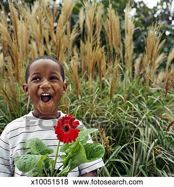 Stock Photo - boy (4-6) holding 
red gerber daisy 
(gerbera jamesonii) 
with mouth open. 
fotosearch - search 
stock photos, 
pictures, images, 
and photo clipart