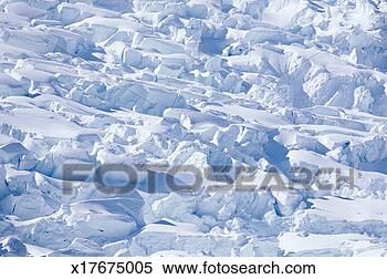 Stock Image - antarctica, palmer 
peninsula, coastal 
glacier, full 
frame. fotosearch 
- search stock 
photos, pictures, 
images, and photo 
clipart