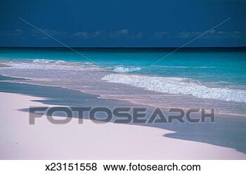 Stock Photo - bahamas, new providence, 
tropical shoreline. 
fotosearch - search 
stock photos, 
pictures, images, 
and photo clipart
