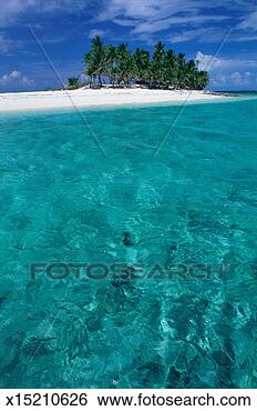 Stock Photo - bahamas, palm 
trees on tropical 
beach. fotosearch 
- search stock 
photos, pictures, 
images, and photo 
clipart