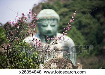 Stock Photo - japan, kamakura, 
great buddha near 
cherry blossoms. 
fotosearch - search 
stock photos, 
pictures, images, 
and photo clipart