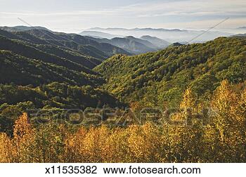 Stock Photo - usa, north carolina, 
great smoky mountains 
national park, 
autumn. fotosearch 
- search stock 
photos, pictures, 
images, and photo 
clipart