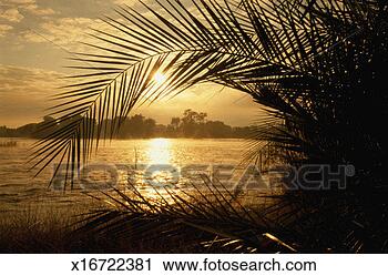 Stock Photography - zimbabwe, coastline 
and zambezi river 
at sunset. fotosearch 
- search stock 
photos, pictures, 
images, and photo 
clipart